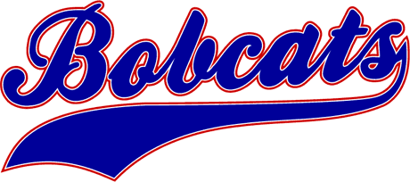 baseball font with tail generator
